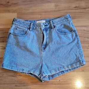 PacSun Women's Blue Denim Shorts